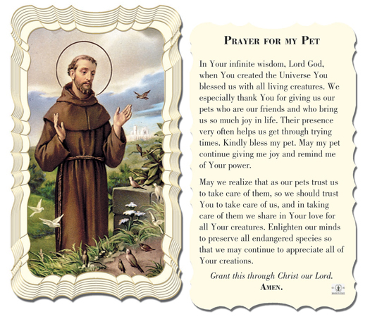 Prayer for My Pet with St. Francis Holy Card