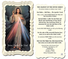 The Chaplet of the Divine Mercy Holy Card