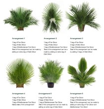 Palm Arrangement Group