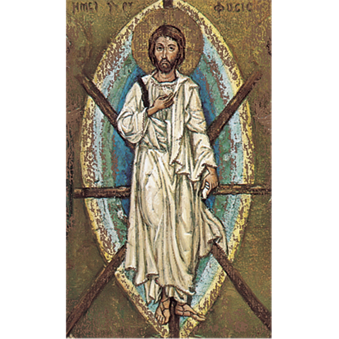 Transfigured Christ
