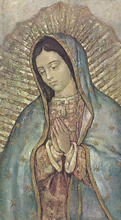 O.L. of Guadalupe - Bust