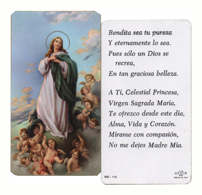 La Inmaculada Concepción