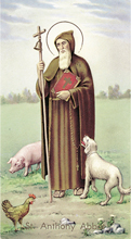 St. Anthony Abbot