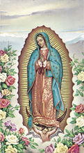O.L. of Guadalupe