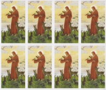 St. Francis of Assisi 8-UP Holy Card