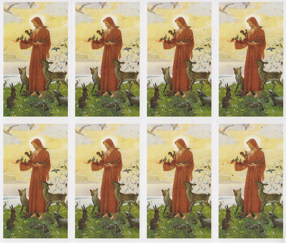 St. Francis of Assisi 8-UP Holy Card