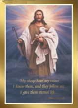 Jesus Shepherd Card