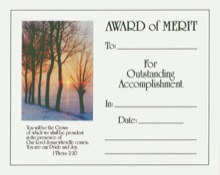 Merit Certificate - 100 per Box