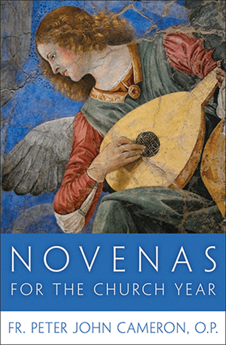 Novenas For the Church Year