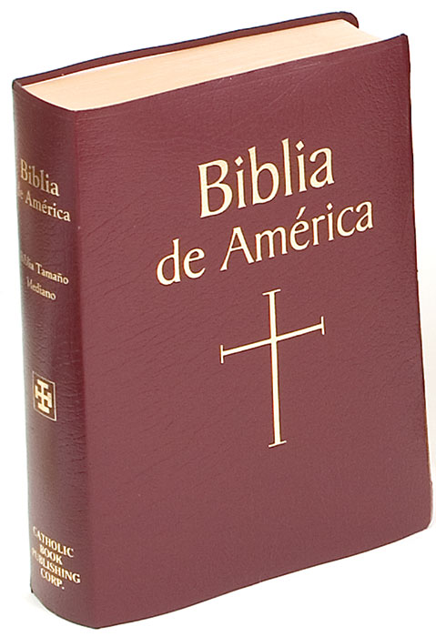Biblia de America  Borogona