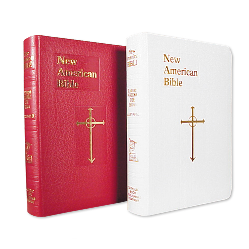 *NEW AM BIBLE-LEATHER BURGUNDY