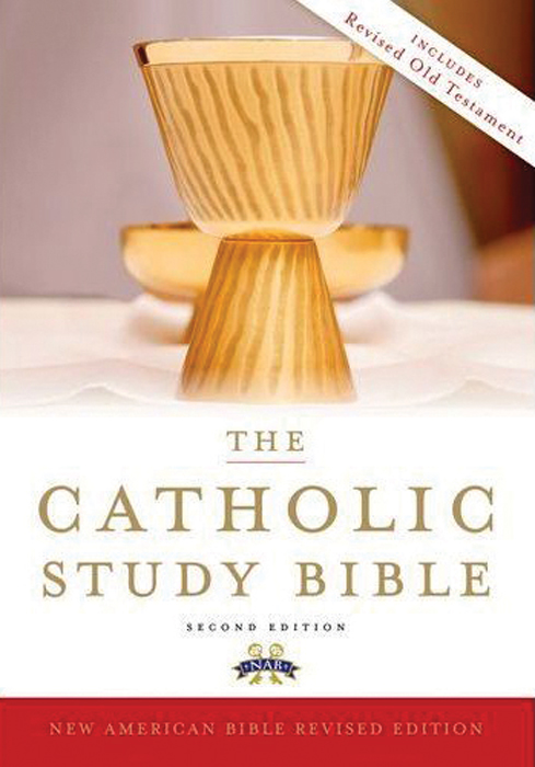 THE CATHOLIC STUDY BIBLE - HC