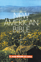 St. Joseph New American Bible