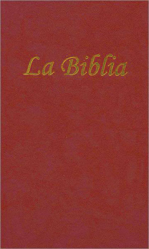 La Biblia  Borogona