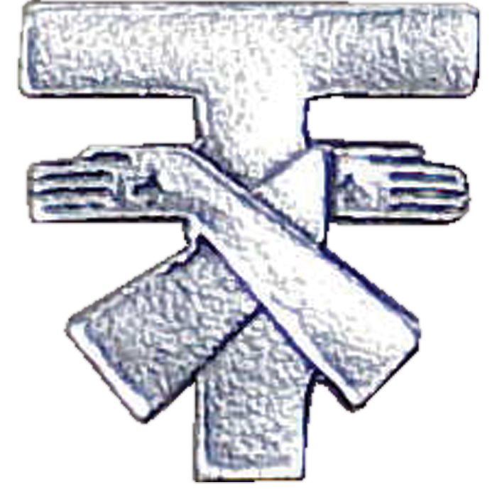 3rd order Franciscan Tau Cross Lapel Pin