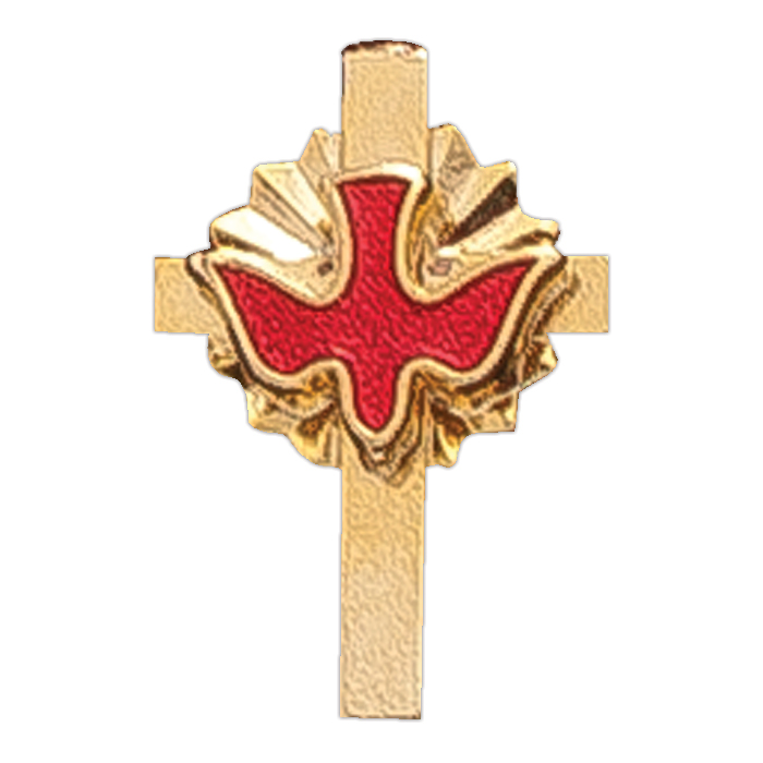 Confirmation/ Holy Spirit Lapel Pin