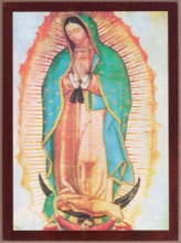 Our Lady of Guadalupe