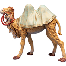 Standing Camel