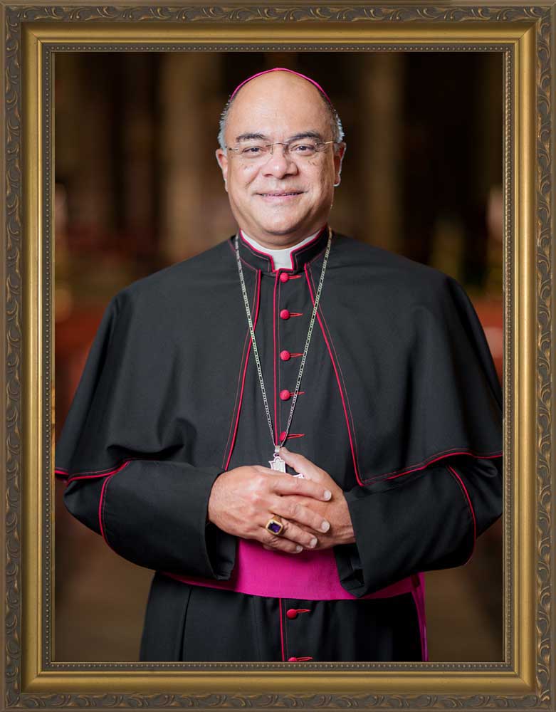 Archbishop Fabre Official Framed Portrait