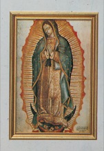 Our Lady of Guadalupe