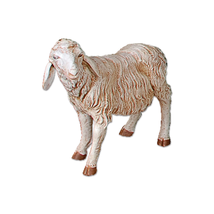 Sheep (standing)