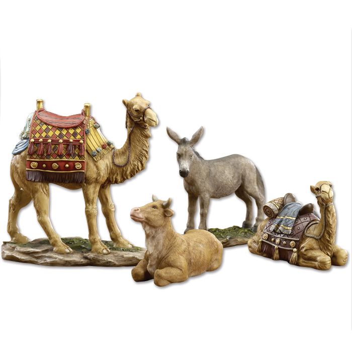 2 Camels, Ox and Donkey