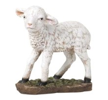 15" COLORED LAMB