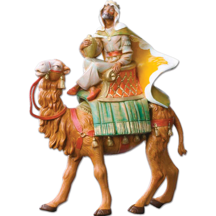 Balthazar on Camel