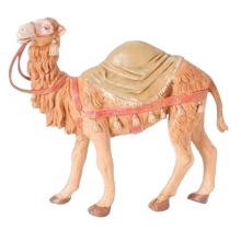 Camel/Blanket