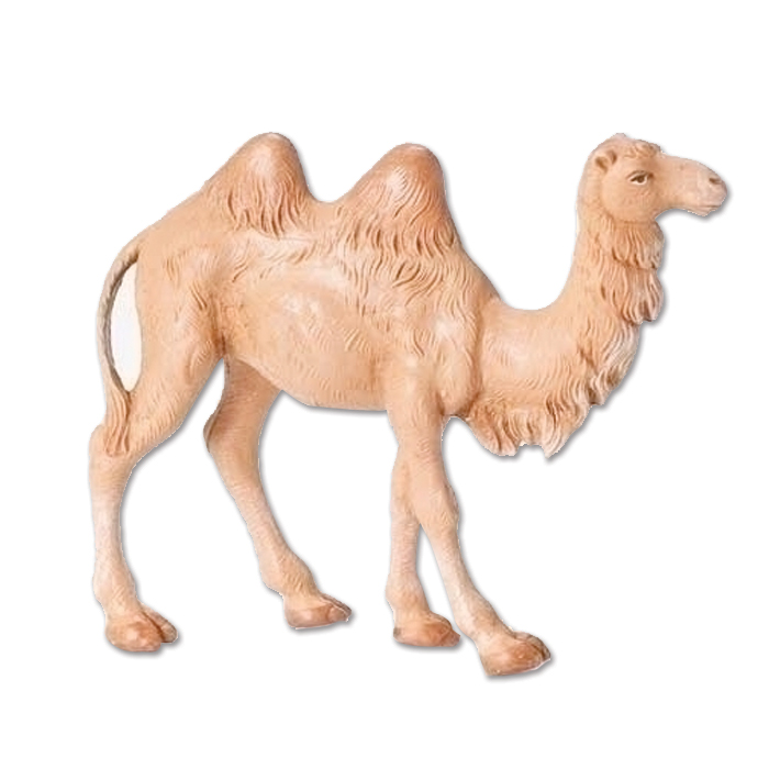 Standing Camel