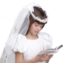 Multi-Layered Regency Veil