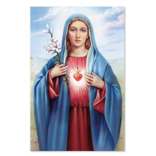 Immaculate Heart of Mary Bulletin