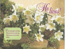 He Lives! Easter Lily Bulletin - 25% OFF!