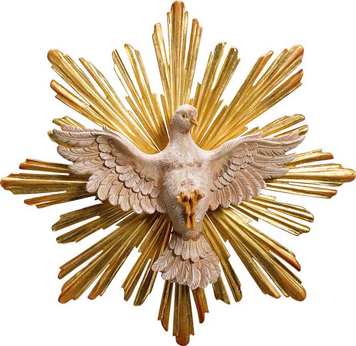 Dove of the Holy Spirit with Halo Symbol