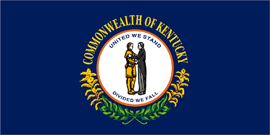 Kentucky State Flag Only