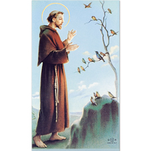 St. Francis of Assisi 8-UP Holy Card